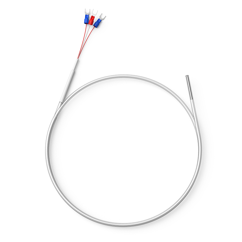 鐵氟龍熱電阻12_http://www.023mdkt.com_溫度儀表_第1張