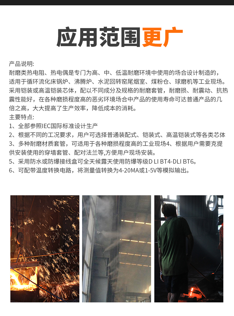 WRNM-131耐磨熱電偶15_http://www.023mdkt.com_溫度儀表_第6張